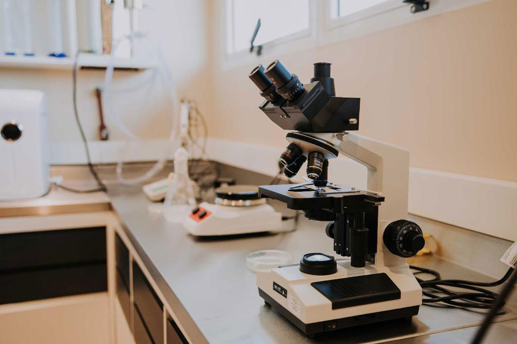 El Fertilizante Foliar Orgánico GTG de ecoAGRO Argentina tiene como materia prima principal subproductos de origen animal que son sometidos a un proceso de biotransformación e hidrólisis enzimático y proveen una gran cantidad de L-alfa aminoácidos libres de origen animal que son rápidamente asimilados por los cultivos.