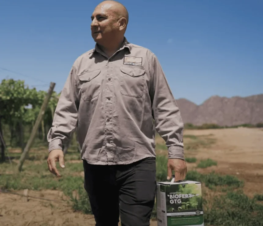 Producción de Pasas de Uva-1